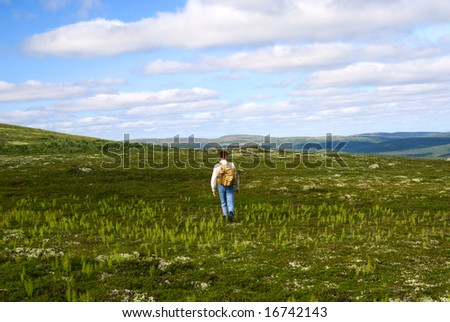 one traveler stand on top of mountain in north tundra