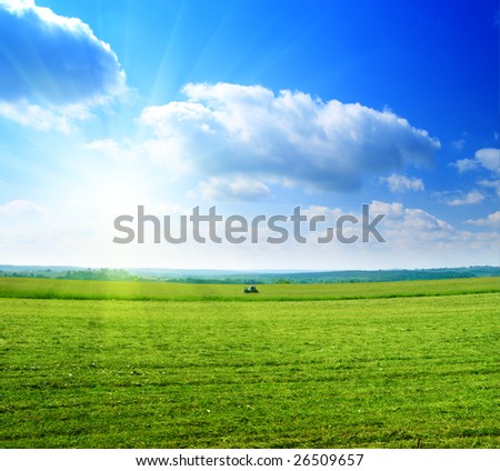 field of harvested summer grass
