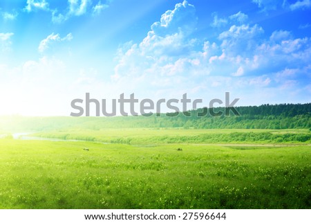 country landscape: river, cows and forest