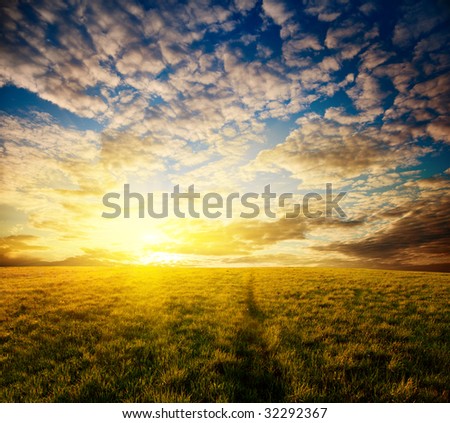 way in grass and sunset