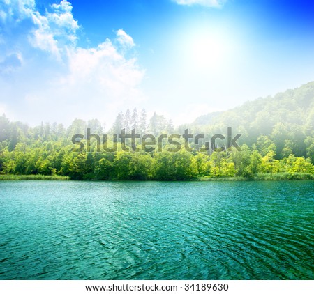 green water lake in forest and fog