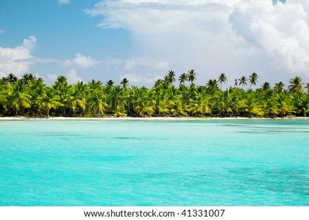 palms and caribbean sea