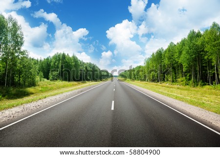 road in Russian forest road in Russian forest