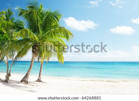 Caribbean sea and coconut palms Caribbean sea and coconut palms