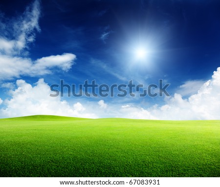 green field and sunny day