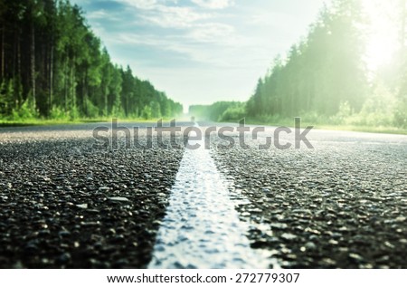 road in sunny forest (shallow DOF)