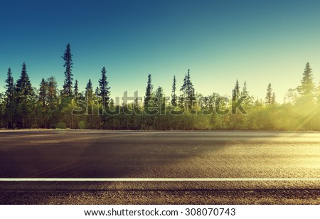 asphalt road in forest
