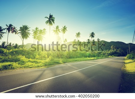 empty road in jungle of Seychelles islands