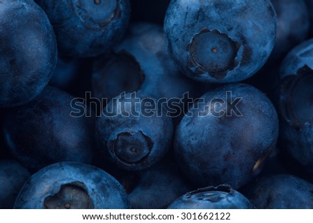 Macro Of Organic Blueberries. Concept For Healthy Eating And Nutrition