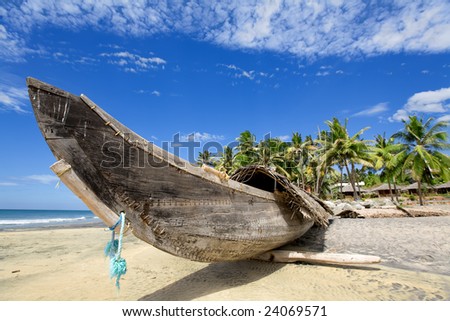 Fisherman boat on the sunny beach with green palm near ocean
