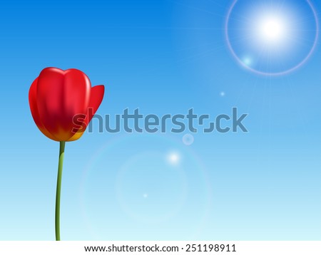 Red tulip on a blue sky realistic background