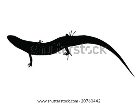 Lizard Crawling On The Ground Stock Vector Illustration 20760442 