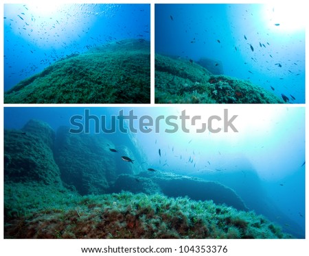 The underwater world