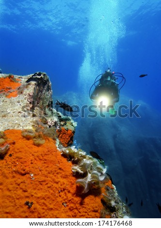 Diver with underwater light by reef