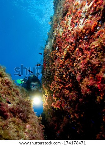 Diver with underwater light by reef