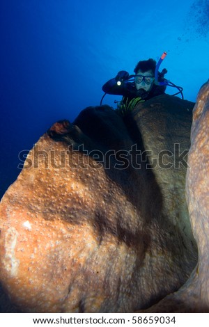 Diver with underwater light by coral reef