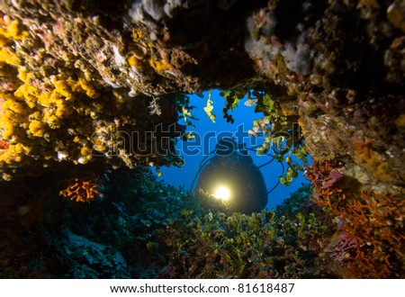 Diver with underwater light
