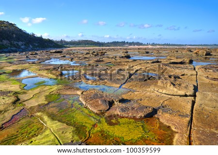 An amazing platform of colorful  rocks is revealed as the tide retreats at Bateau Bay, NSW, Australia