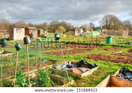 Communal allotments in Bristol, England.  Plots of land cultivated by the tenants for food production.