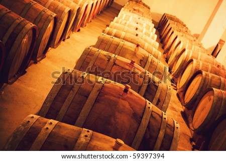Casks in wine cellar