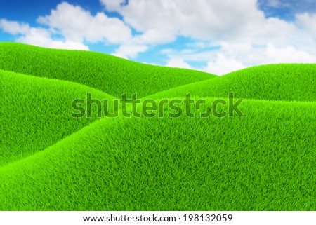 Green Field of grass