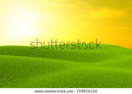 Green Field of grass