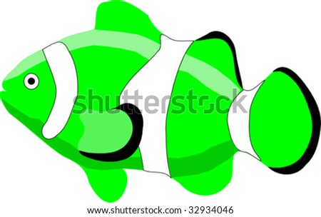 Clown Fish Sketch