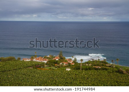 Holiday Houses on the Coast with Palm Tree Forest behind and with Ocean View - Tenerife, Canary Islands, Spain