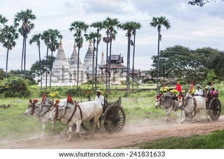 29 OCTOBER 2014 - BAGAN MYANMAR - Bullock carts transport local people and tourists around the temples of Bagan, Myanmar