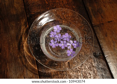 Purple flowers in bowl in bowl on wooden table