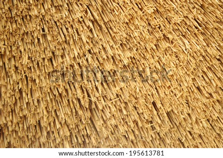 Straw roof cover background