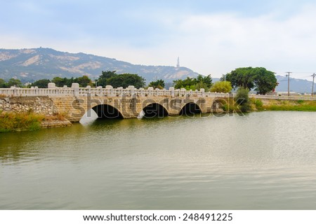 chinese style bridge over the lake