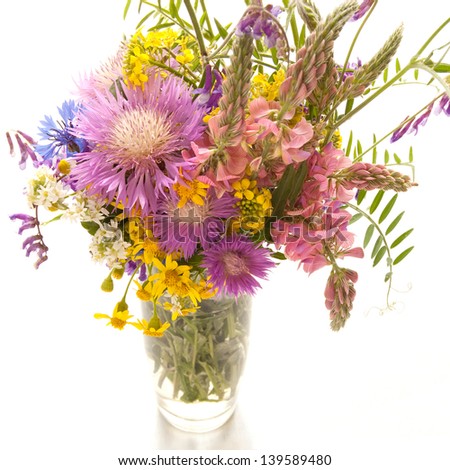 Bouquet of meadow flowers on a white background