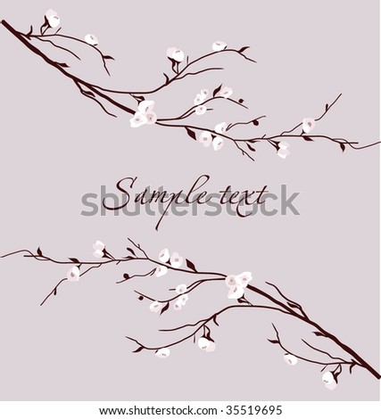 cherry blossom flower. (cherry blossom) floral