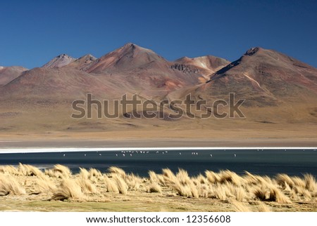 Azure clear sky over the mountain range with flock of birds on the water. Laguna, Altiplano, Bolivia