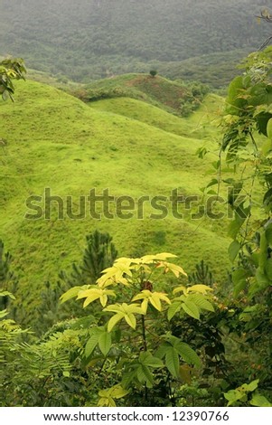 Green rolling landscape near famous national park Semuc Champeya. Guatemala