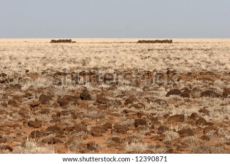 Feature land with drought countryside. Desert North Horr. Kenya