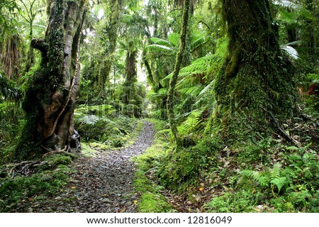 60+ dating nz-in-Paradise Valley