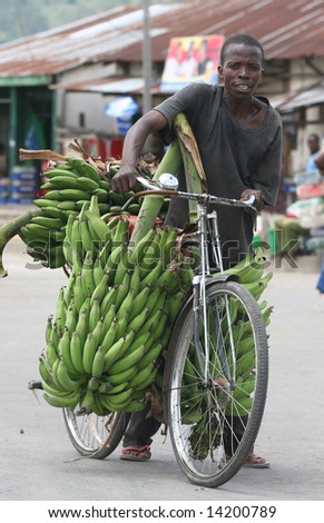 MALAWI - UNKNOWN: A man pushing the bicycle full of bananas in this undated image taken in Malawi.