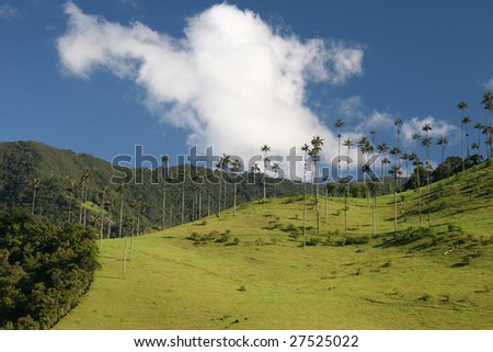 Colorful cloudscape scene over the beautiful rolling landscape in Valle de Cocora, Salento, Colombia