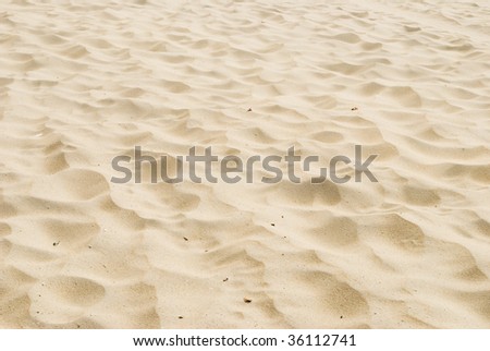 beach sand background. stock photo : Beach sand