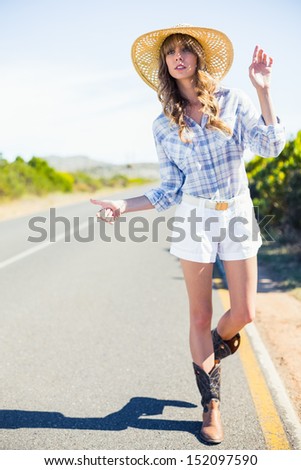 Attractive blonde hitchhiking at the roadside in summertime