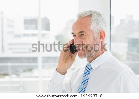 Side view of a smiling mature businessman using mobile phone in a bright office