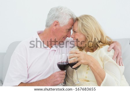 Relaxed loving senior couple toasting wine glasses at home
