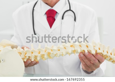 Close-up mid section of a male doctor holding skeleton model