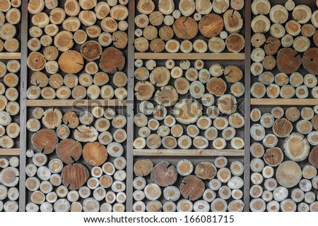 Timber floor background element for design