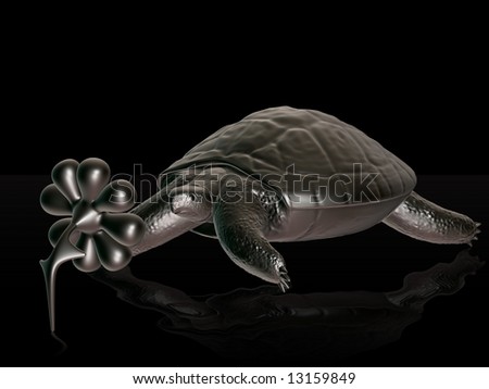 Reptile turtle, desert animal