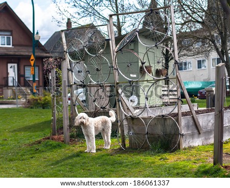 A Dog in Front of a Quirky Community Garden