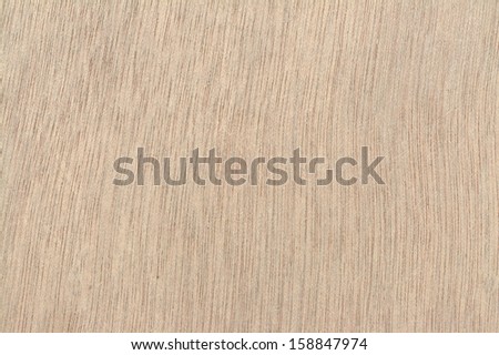 the surface of a sheet of plywood of coniferous trees