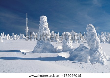 Snow covered landscape with a snow covered spruces below the transmission tower on the top of Praded - the highest peak of Jeseniky mountains, Czech Republic.
